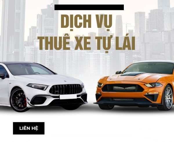 Dịch vụ cho thuê xe tự lái Điện Biên uy tín
