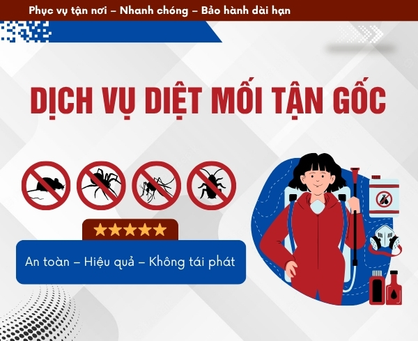 Công ty diệt mối tận gốc Quế Sơn Đà Nẵng