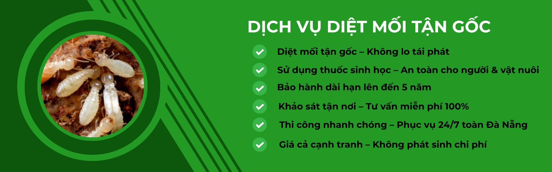 quảng bá thương hiệu việt