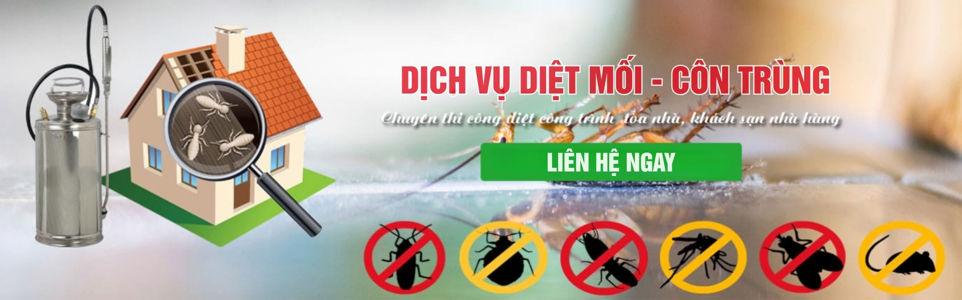 quảng bá thương hiệu việt